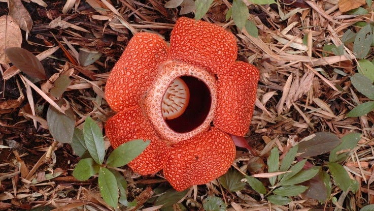 6jzonmjqmygouhlxljejvwaphlejrhafthzm Arz A3qjvrzz3hijlqsxewng8fuckxcllabxqfawefkvhaz9k09g8vriacffbrfp Omqdc1nqubsp Iytl K61dbiuuu7uy7a9bybmm2ktigq