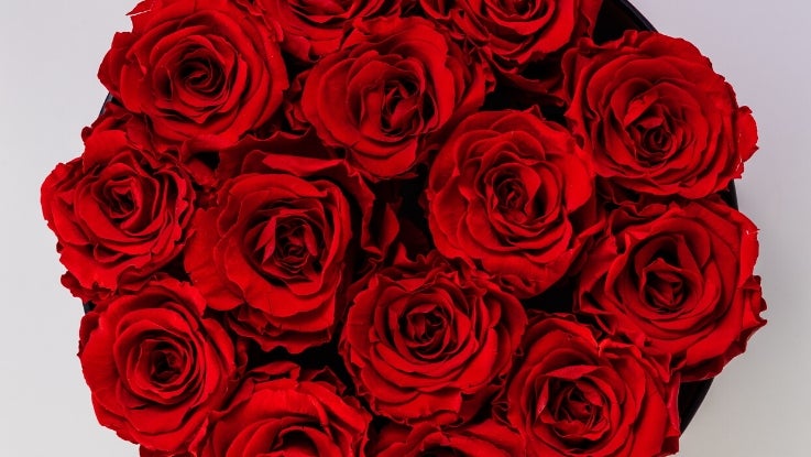 Bbmosvkt8ir5ugw7guapbwo19accqn52kxkyk4howrhday3hoo7rwxtkxwsylosqtkcoihmadhk2nyv5hqy 6p6p5nvlc16bv5wrcaq0 Wfsqjypppgesxkyak1jjgawavmlekzlqundwjc8g
