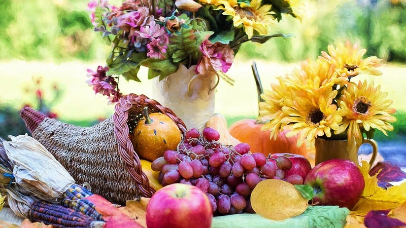 A cornucopia